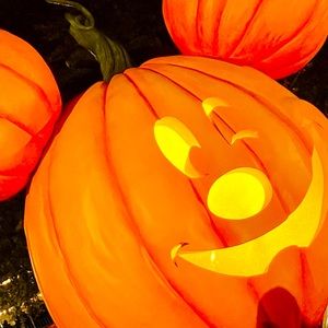 Meet your Posher, Becca 🦇